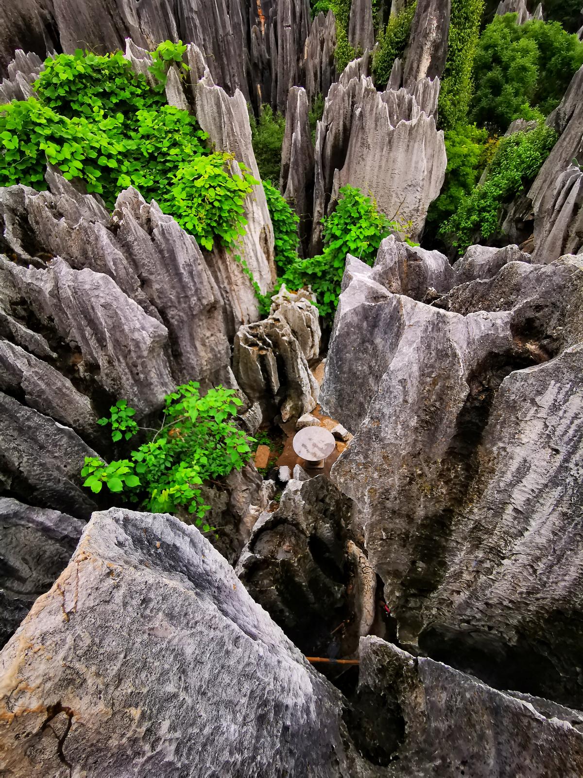 中國(guó)南方喀斯特:水流與石頭的博弈 | 手機(jī)里的中國(guó)世界遺產(chǎn)