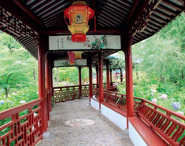 一個(gè)比利時(shí)人的“中國(guó)夢(mèng)”