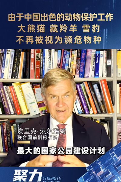 埃里克·索爾海姆：由于中國出色的動(dòng)物保護(hù)工作，大熊貓、藏羚羊、雪豹不再被視為瀕危物種