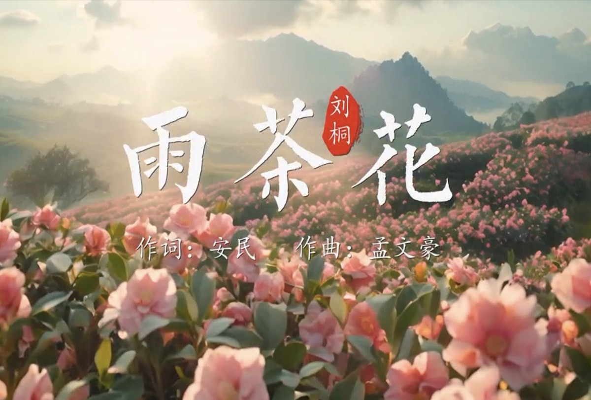 一首《雨茶花》，演繹山水如畫、情懷如歌